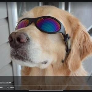 Meet your Posher, Sherry